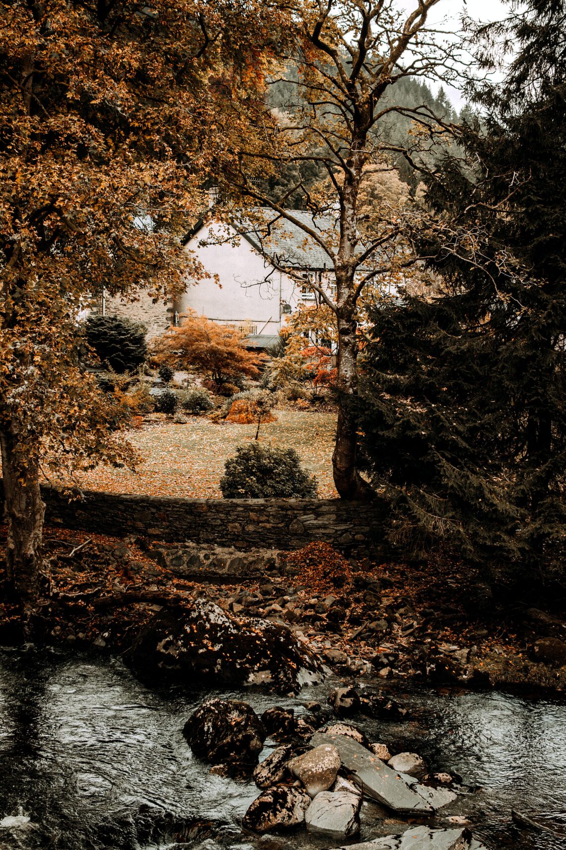 creek with house behind it, autumn colors