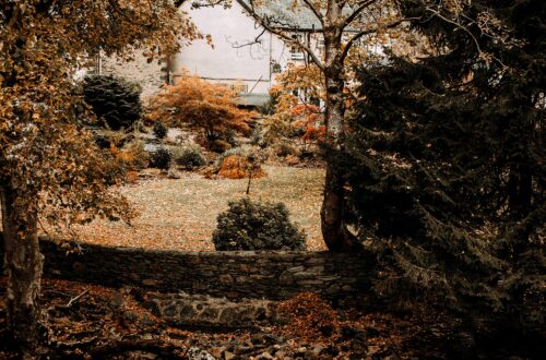 creek with house behind it, autumn colors